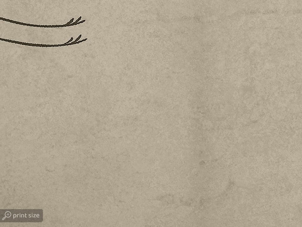 پوستر دیواری کلاسیک پرنده W10293600 — تصویر ۴