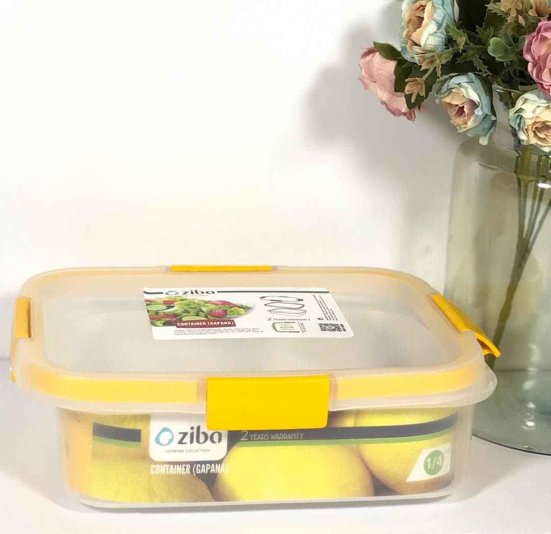 ظرف فریزری مستطیل 1/4 لیتر35133 گاپانا (24) ارسال نیمه رایگان