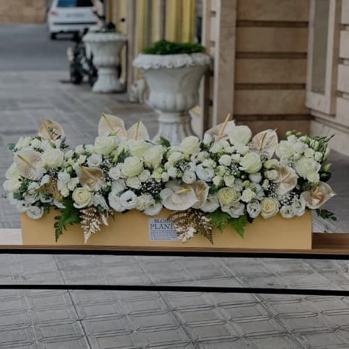 گل فروشی تهران پاسداران با ارسال فوری و قیمت ارزان 7282