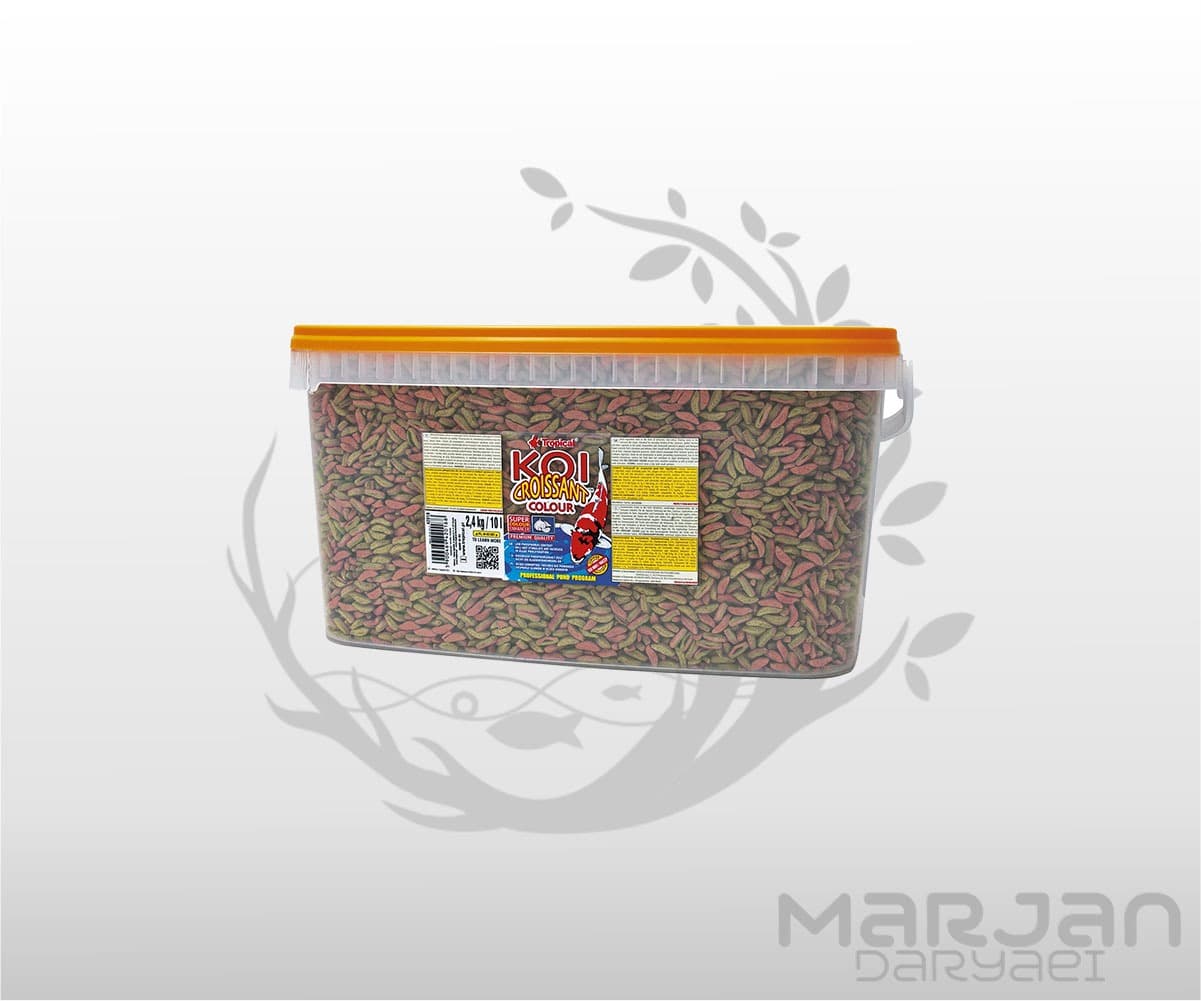غذای ماهی کوی کروسان کالر تروپیکال