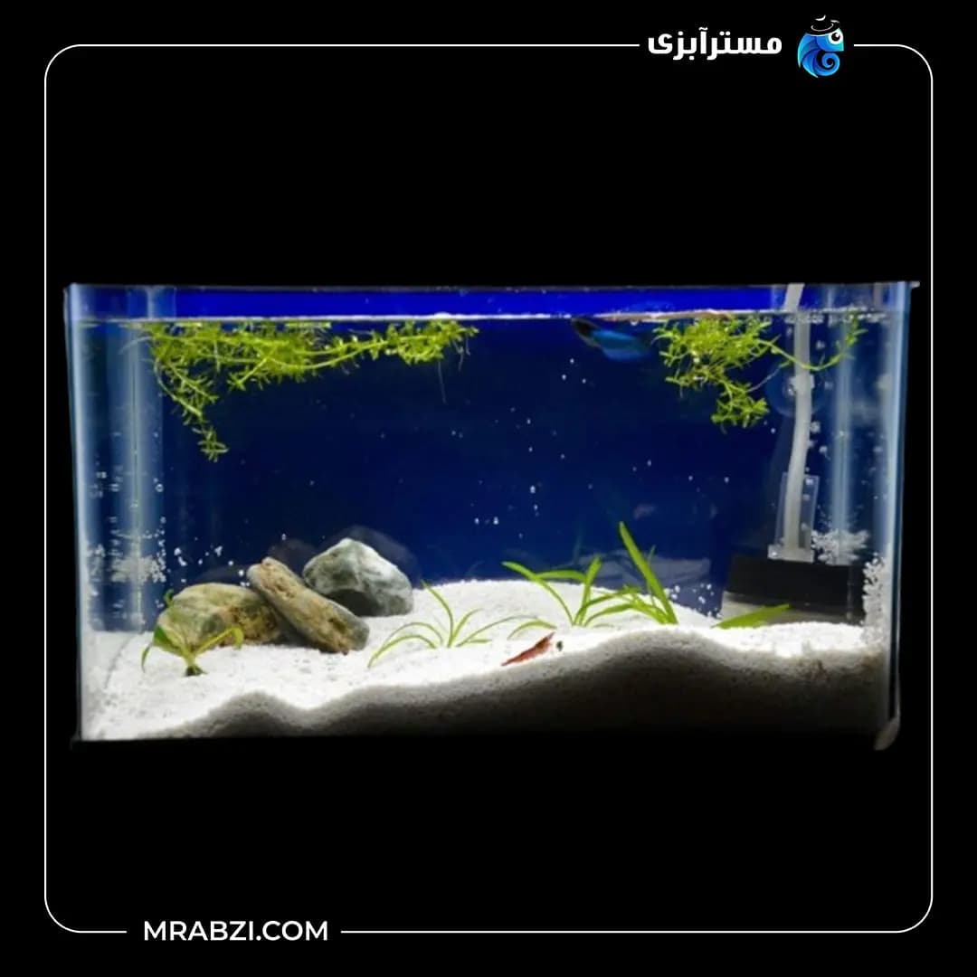 شن آکواریوم شکری سفید 5 کیلویی — تصویر ۲