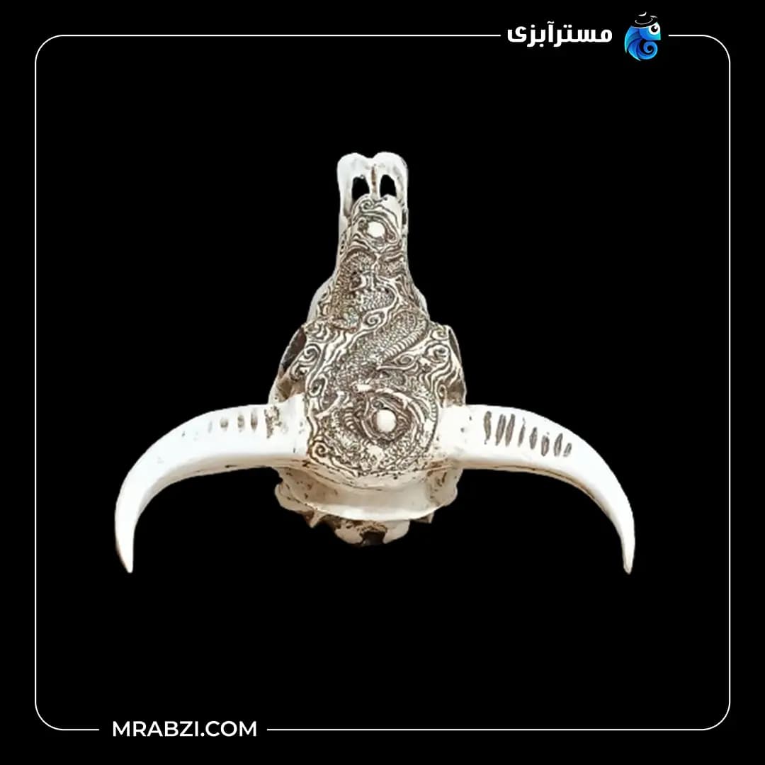 جمجمه تزیینی آکواریوم کد ma