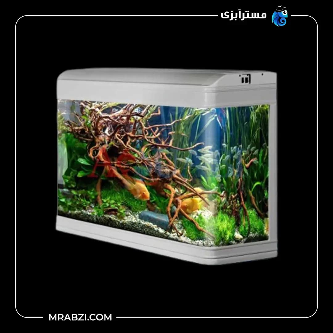 آکواریوم دلسا K800 با پایه — تصویر ۲