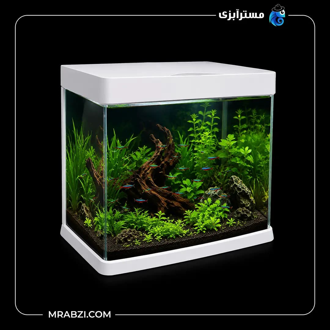 آکواریوم آکوا مدل DG-300 به همراه دماسنج