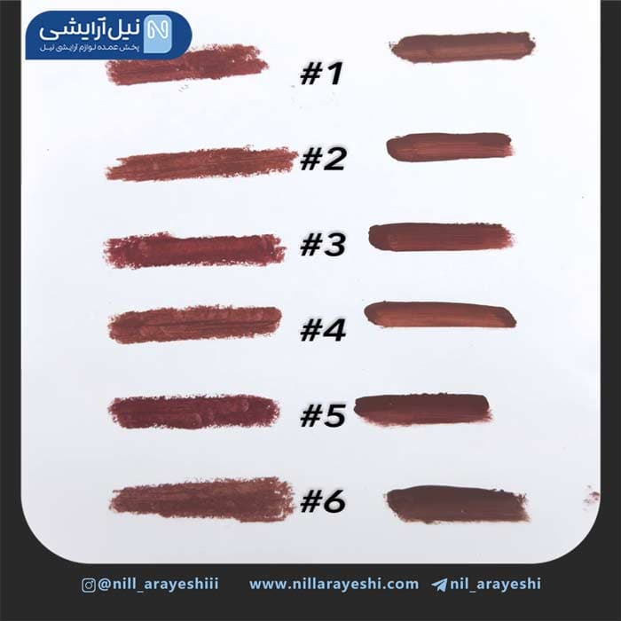 رژ لب مایع و جامد دو طرفه ژولیوس بیوتی کد Jl6666 — تصویر ۴