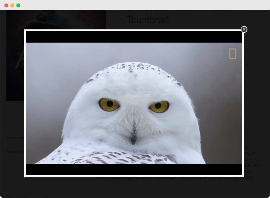 افزونه Product Video for WooCommerce افزودن ویدئو به گالری محصولات ووکامرس 1.6.0 — تصویر ۳