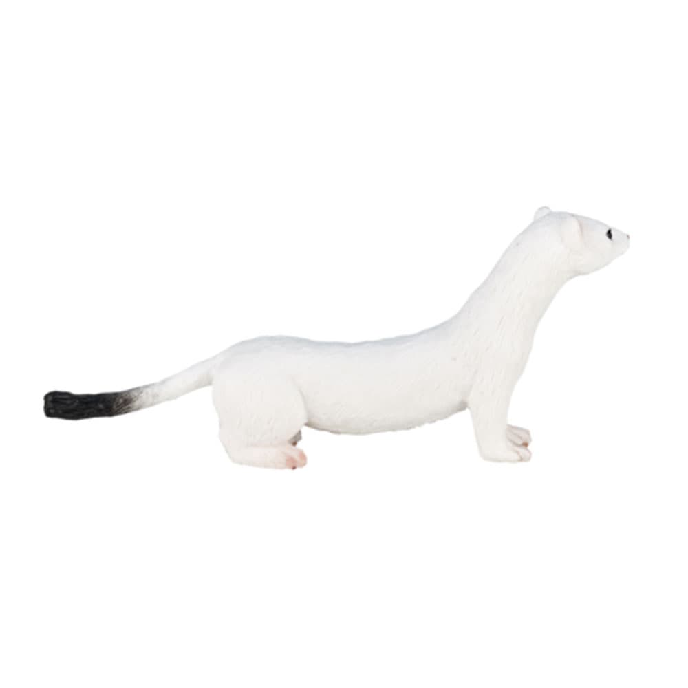 فیگور قاقم سفید کد: Ermine 387164 — تصویر ۲