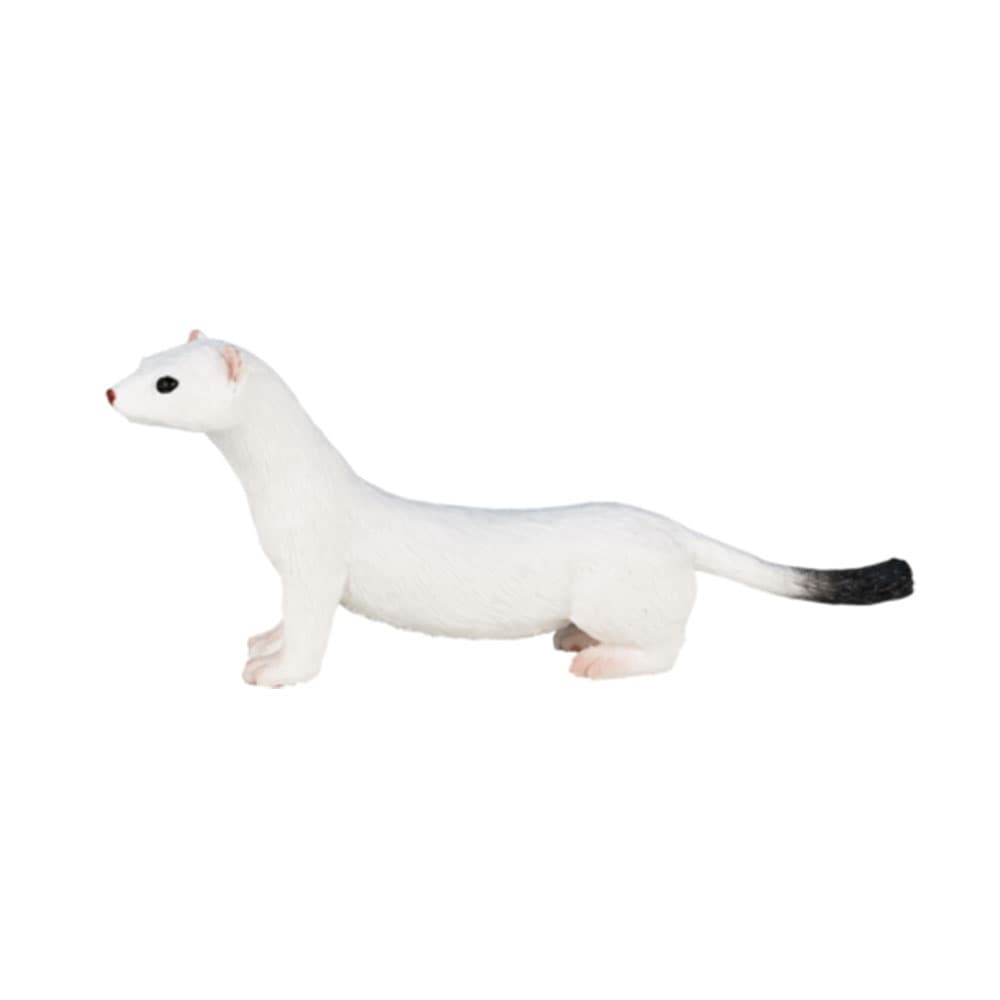 فیگور قاقم سفید کد: Ermine 387164 — تصویر ۴
