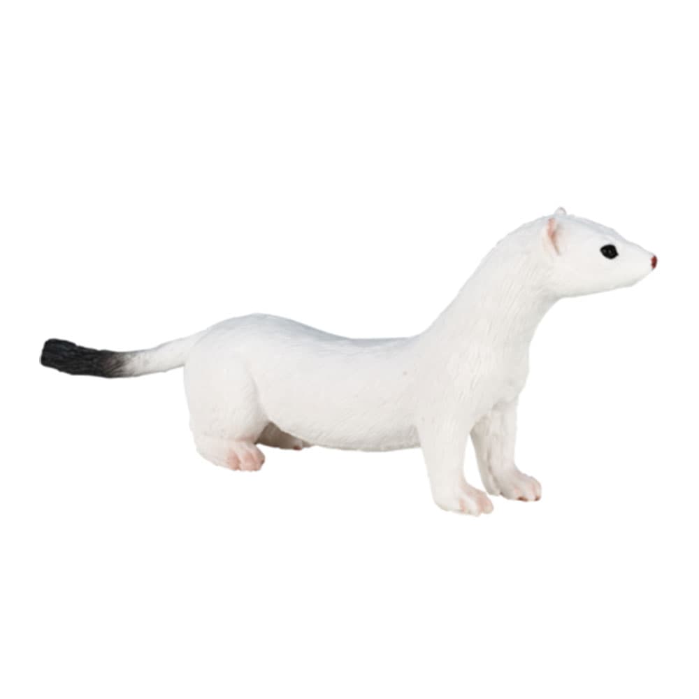 فیگور قاقم سفید کد: Ermine 387164 — تصویر ۵