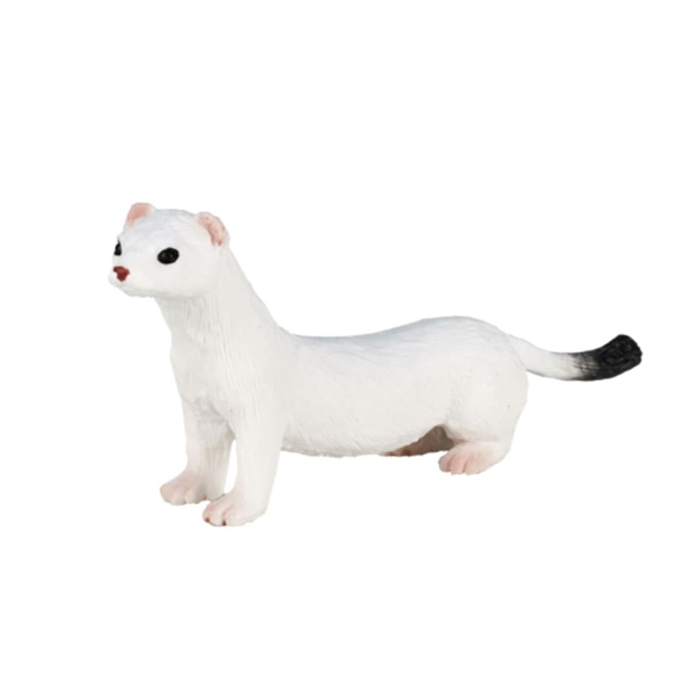 فیگور قاقم سفید کد: Ermine 387164