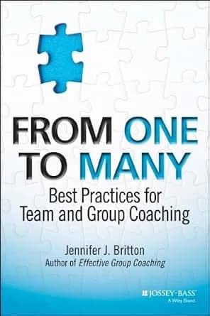 و دانلود نسخه کامل کتاب زبان اصلی From One to Many: Best Practices for Team and Group Coaching PDF | دانلود کتاب خارجی