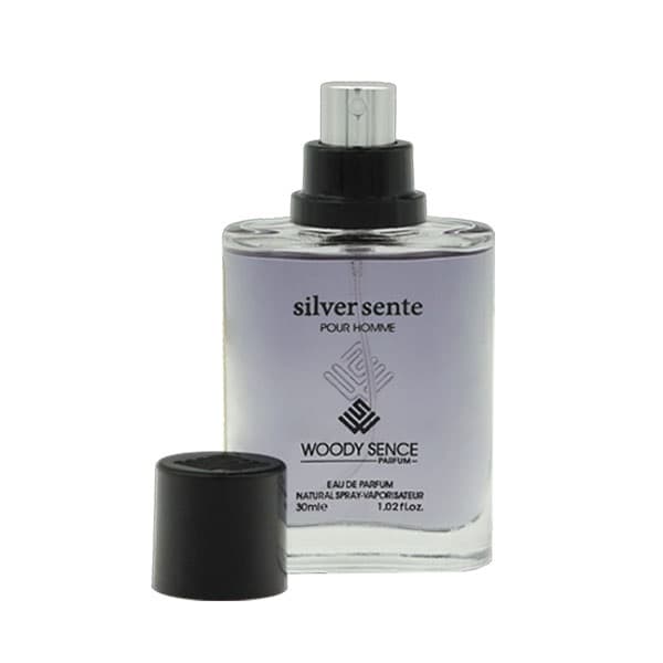 عطر جیبی وودی سنس سیلور سنت حجم 30 میلی لیتر