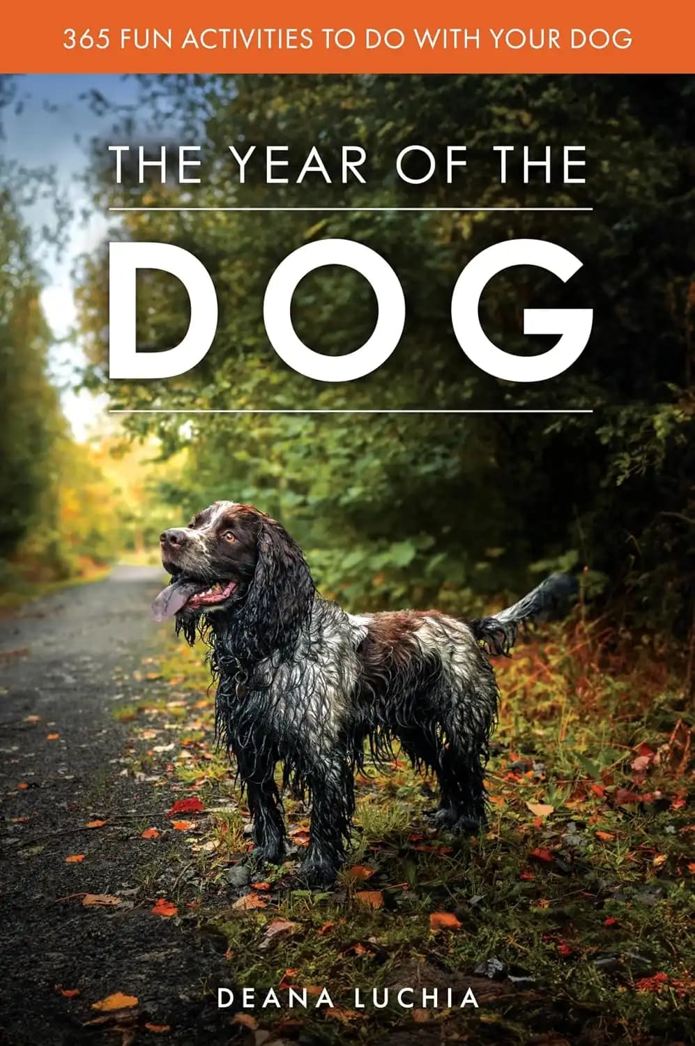 کتاب سال سگ (The Year of the Dog) نسخه انگلیسی PDF | دینا لوچیا