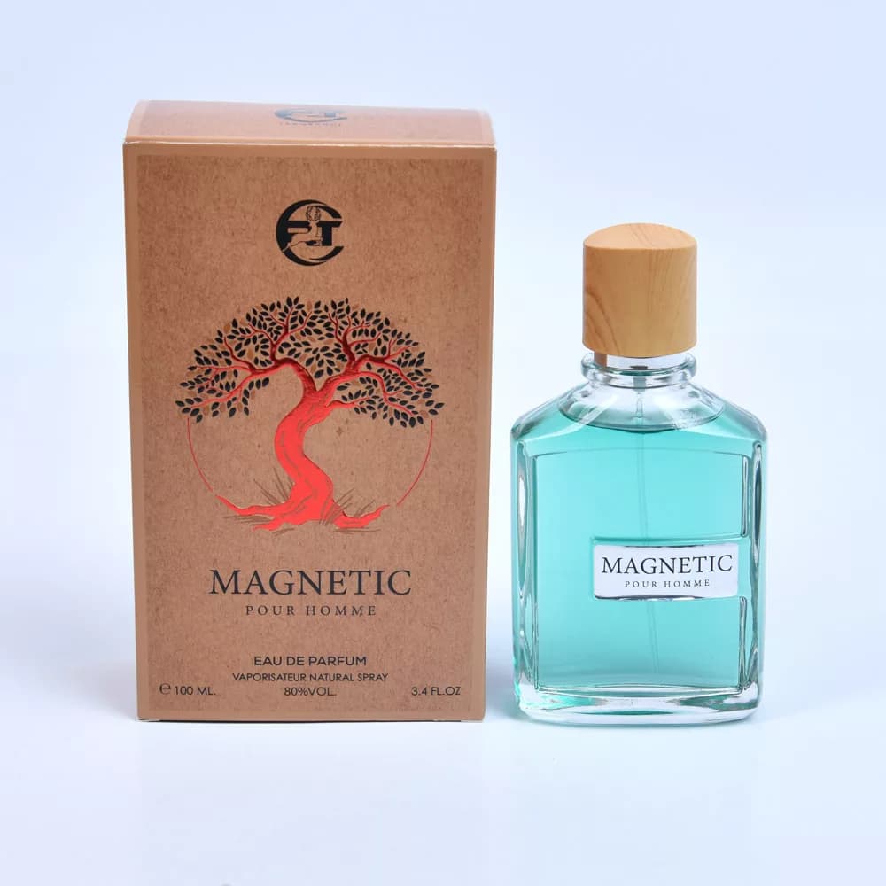 ادو پرفیوم مردانه آرتی مدل MAGNETIC (مشابه رایحه مگاماره)