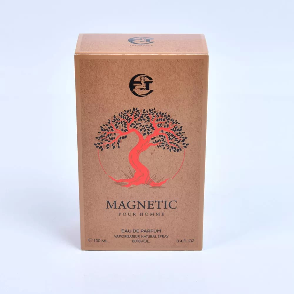 ادو پرفیوم مردانه آرتی مدل MAGNETIC (مشابه رایحه مگاماره) — تصویر ۴