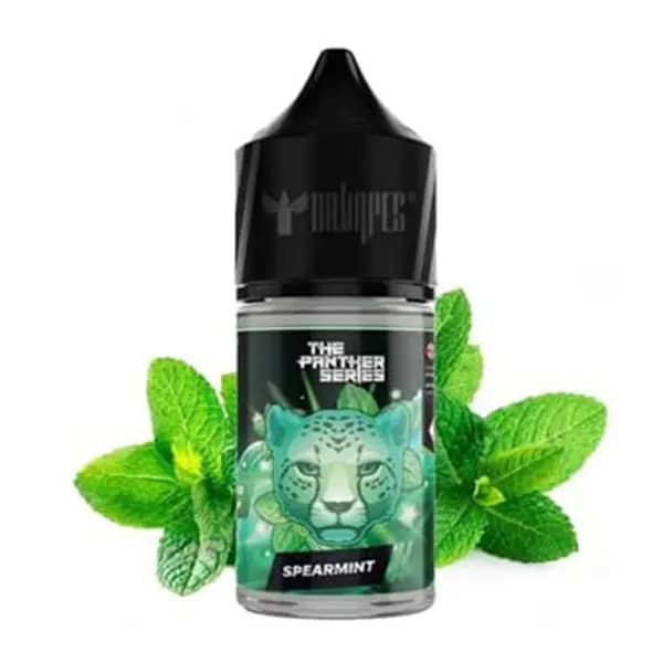 سالت آدامس نعنا دکتر ویپز | Dr.Vape SPEARMINT