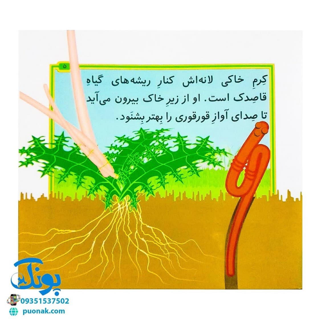 کتاب مجموعه قصه های بی بی رعنا همگام با کلاس اولی ها جلد ۸ قورقوری دیگر آواز نمی خواند (تقویت روان خوانی و املا) — تصویر ۳