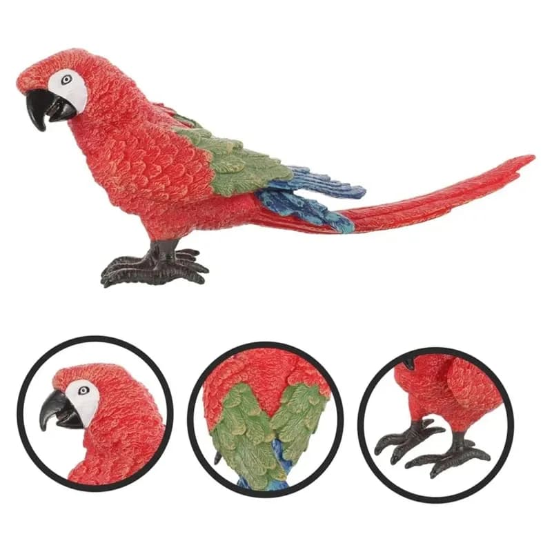 فیگور مدل طوطی Macaw مکائو برزیلی — تصویر ۶