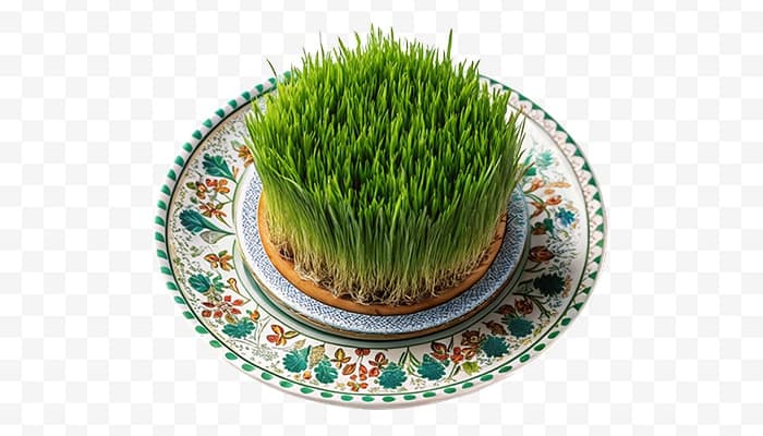 تصویر PNG سبزه عید نوروز و ظرف سنتی