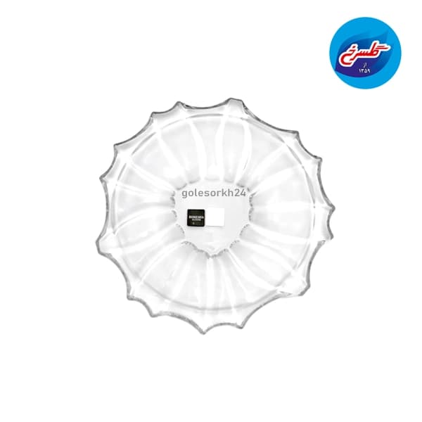 پیشدستی پلانتیک (بسته 6 عددی)