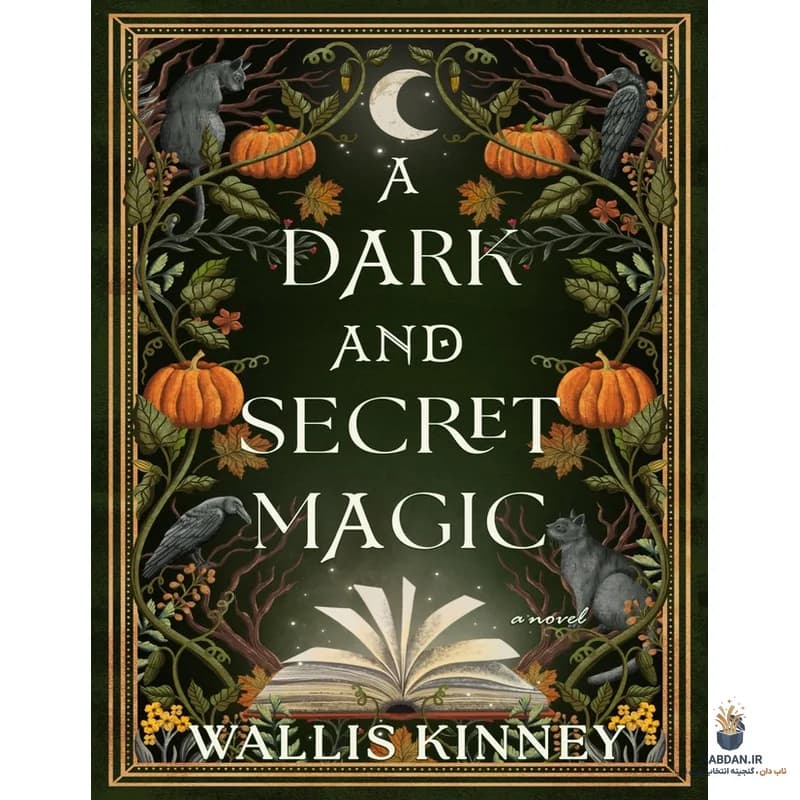 کتاب A Dark and Secret Magic (جادویی تاریک و مخفی) نسخه انگلیسی PDF | والیس کینی