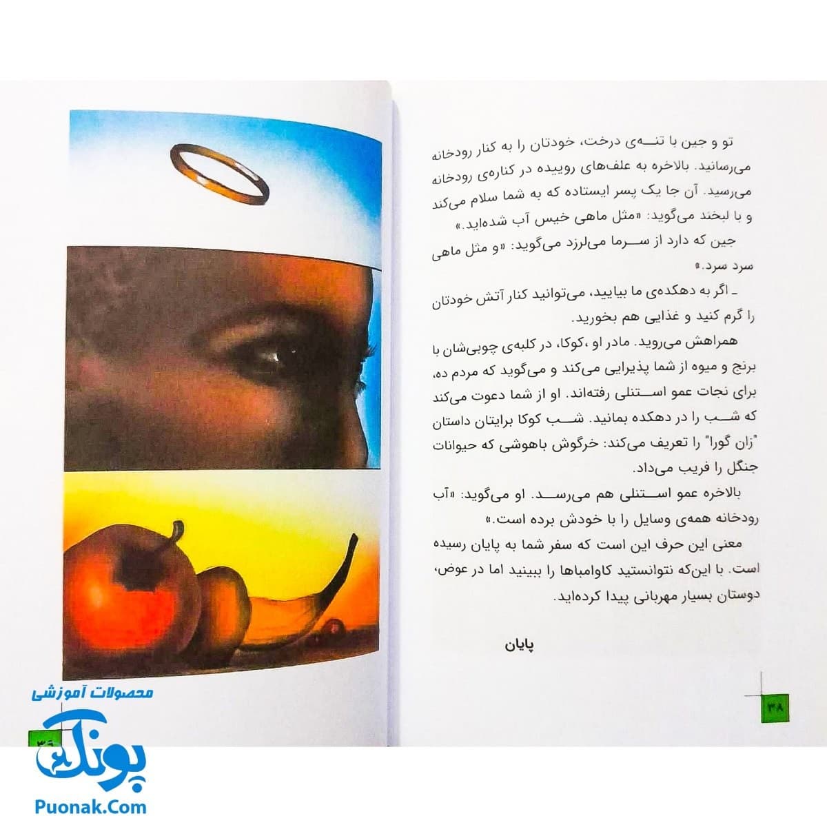 کتاب داستانی با چند پایان خودت تصمیم می گیری! ۴ ۱۰۰۰ خطر در سفر به جنگل های آفریقا — تصویر ۷
