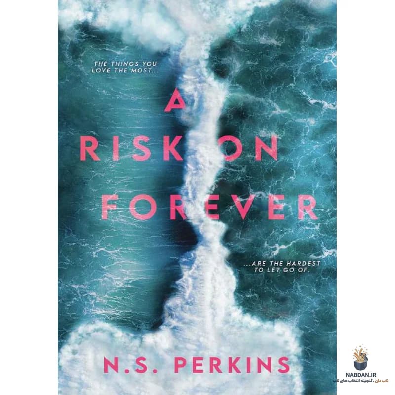 کتاب A Risk on Forever (خطری برای همیشه) نسخه انگلیسی PDF | ان. اس. پرکینز