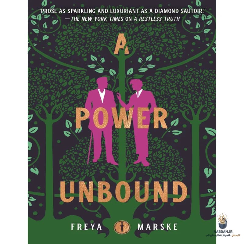کتاب A Power Unbound (قدرتی رها شده) نسخه انگلیسی PDF | فریا مارسکی