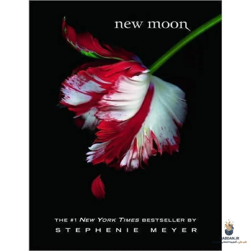 کتاب New Moon (ماه نو) نسخه انگلیسی PDF | استفانی مایر