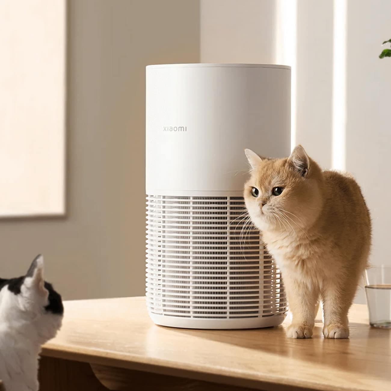 تصفیه هوای هوشمند حیوانات خانگی شیائومی Xiaomi AC-M30-SC — تصویر ۳