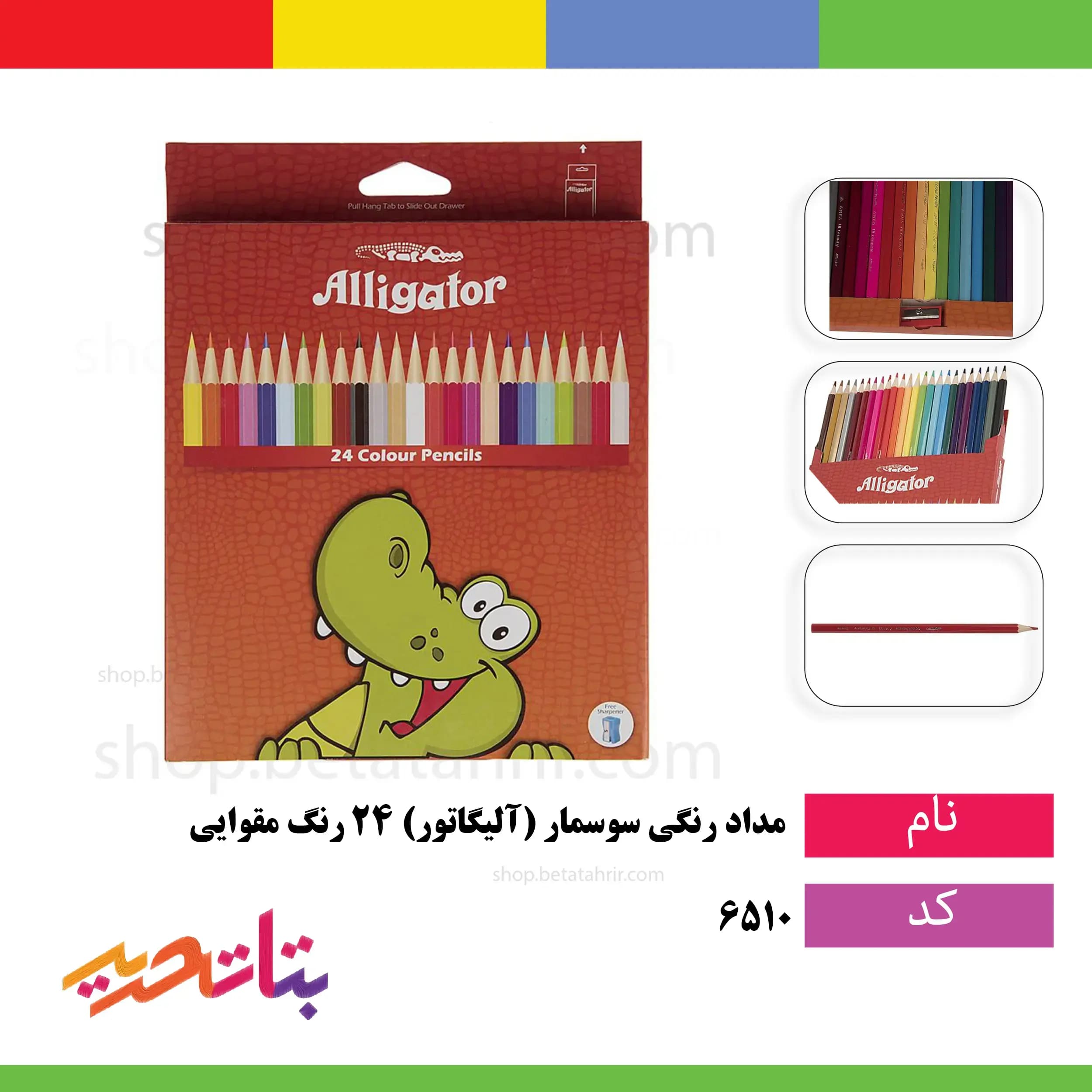 سوسمار- (آلیگاتور)- مداد رنگی 24 رنگ مقوا