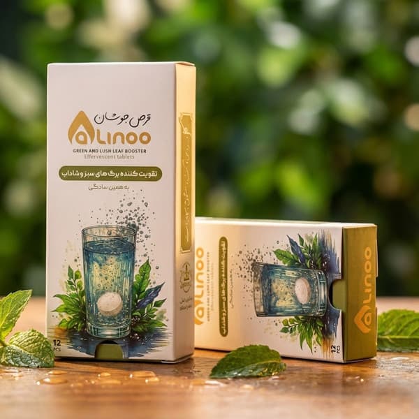 قرص جوشان ویژه رشد برگ گیاهان زینتی عالینو مدل Green وزن 60 گرم بسته 12 عددی — تصویر ۲