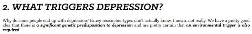 کتاب This Is Your Brain on Depression — تصویر ۲