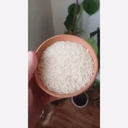 برنج طارم هاشمی درجه یک 10 کیلویی سورتینگ — تصویر ۲