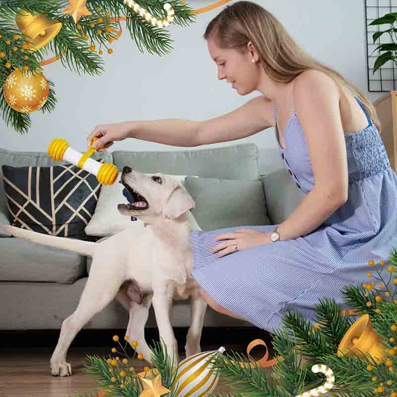 اسباب بازی سرگرمی سگ برند PETGEEK (استوک) — تصویر ۳