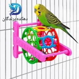 اسباب بازی طوطی مدل چرخ فلک بازی پرنده(درجه یک)طوطی برزیلی،مرغ عشق،گرینچیک،عروس هلندی و… — تصویر ۲