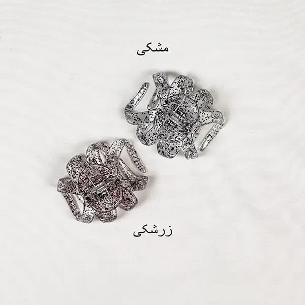کلیپس گوجه ای اکلیلی — تصویر ۲
