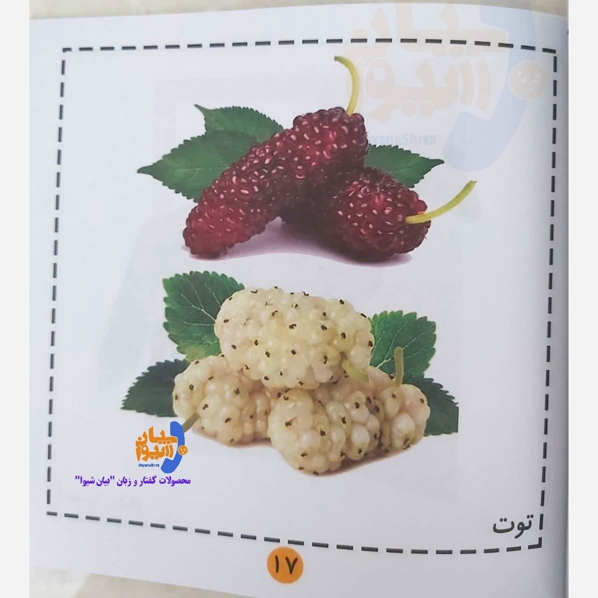 نخستین کلمات ساده‌ی بیانی کودک — تصویر ۳