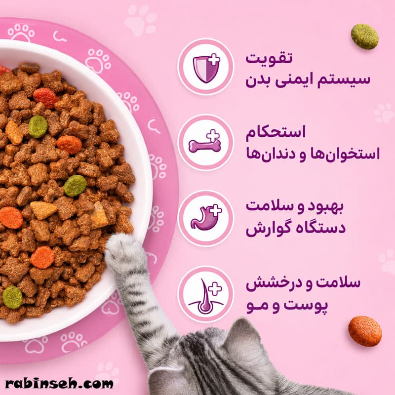 غذای خشک بچه گربه کیتن ویسکاس آلمان مرغ 1.9 کیلوگرم — تصویر ۲