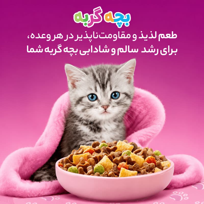 غذای خشک بچه گربه کیتن ویسکاس آلمان مرغ 1.9 کیلوگرم — تصویر ۴
