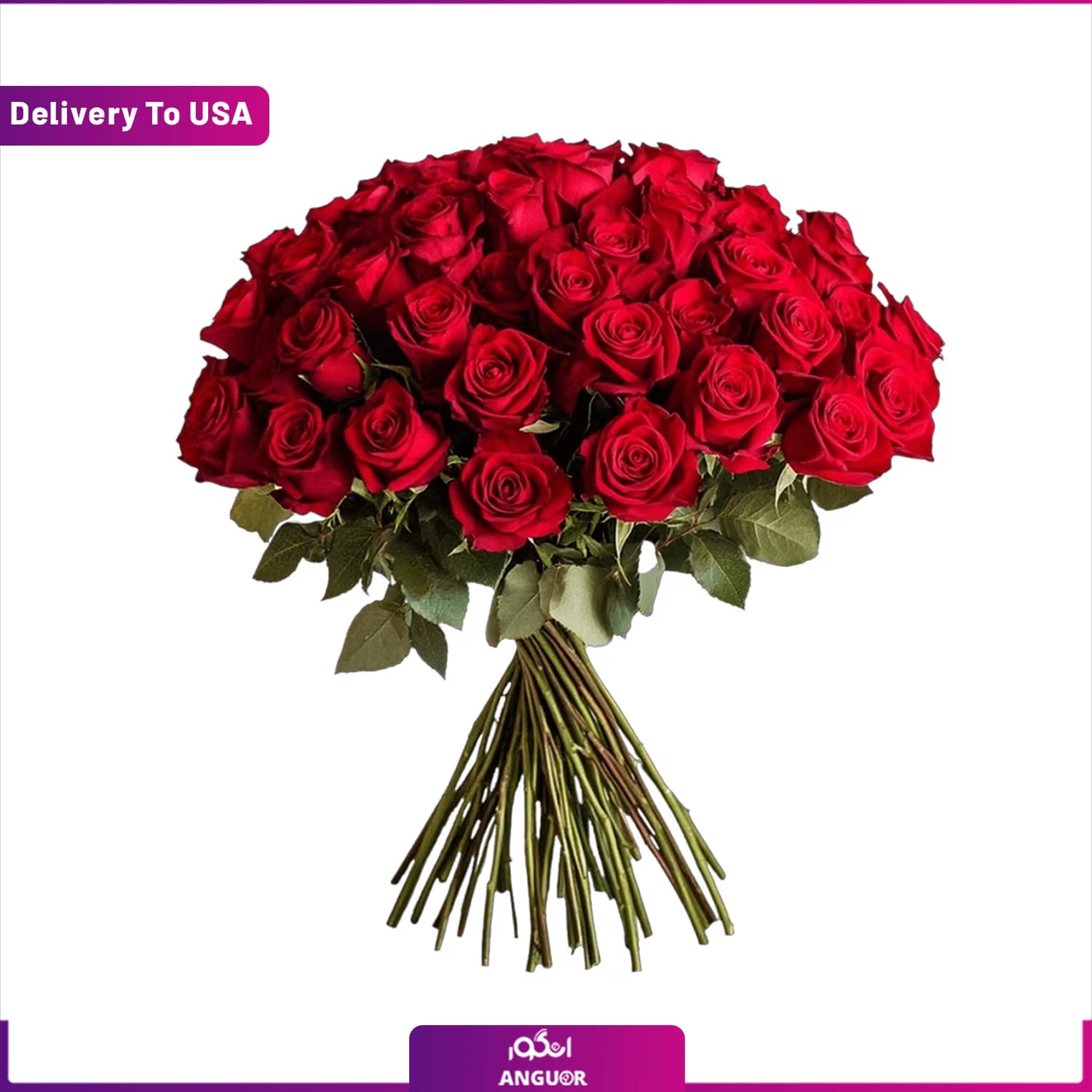 دسته گل 50 شاخه رز (تحویل در آمریکا)