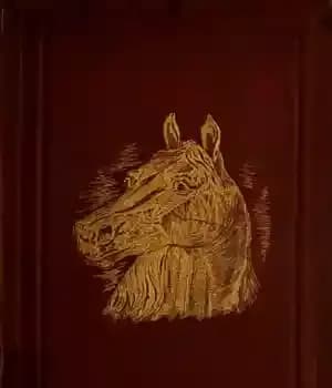دانلود کتاب Diseases & disorders of the horse : a treatise on equine medicine and surgery : being a contribution…