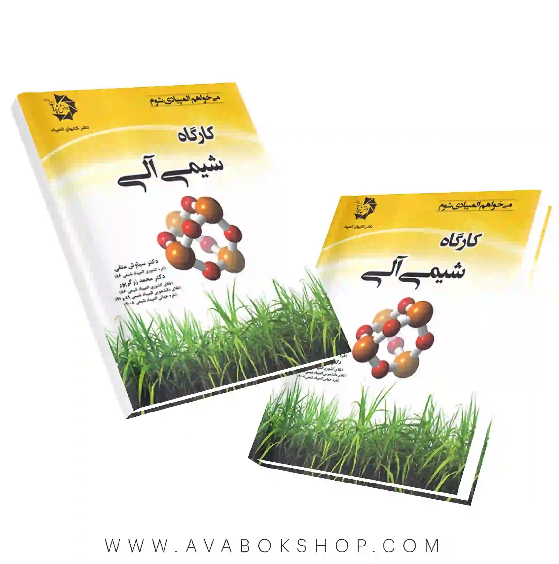 کتاب کارگاه شیمی آلی دانش پژوهان جوان