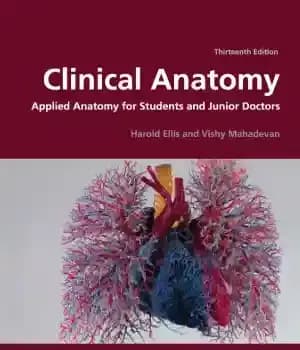 دانلود کتاب Clinical Anatomy – Applied Anatomy for Students and Junior Doctors – آناتومی بالینی – آناتومی کاربردی برای دانشجویان…