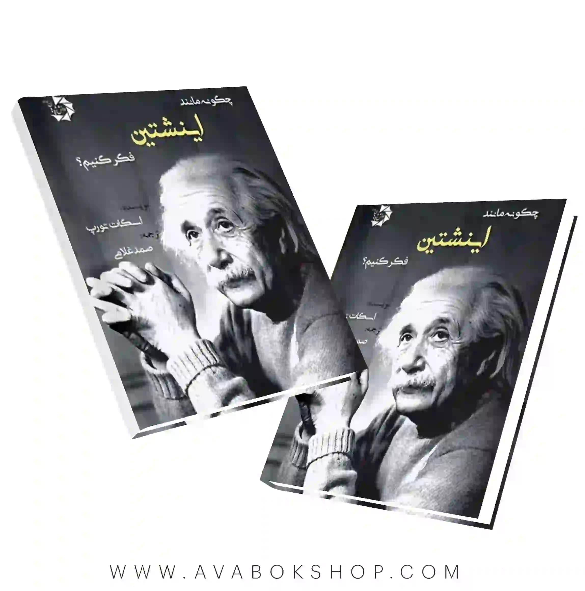 کتاب چگونه مانند انیشتین فکر کنیم دانش پژوهان جوان