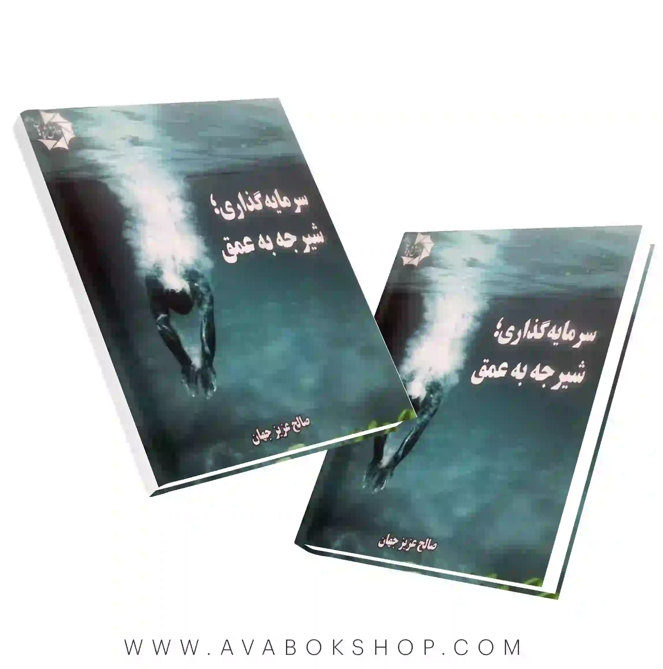کتاب سرمایه گذاری ، شیرجه به عمق دانش پژوهان جوان