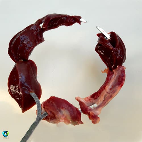 سیخ دایره ای کباب 3 عدد — تصویر ۴