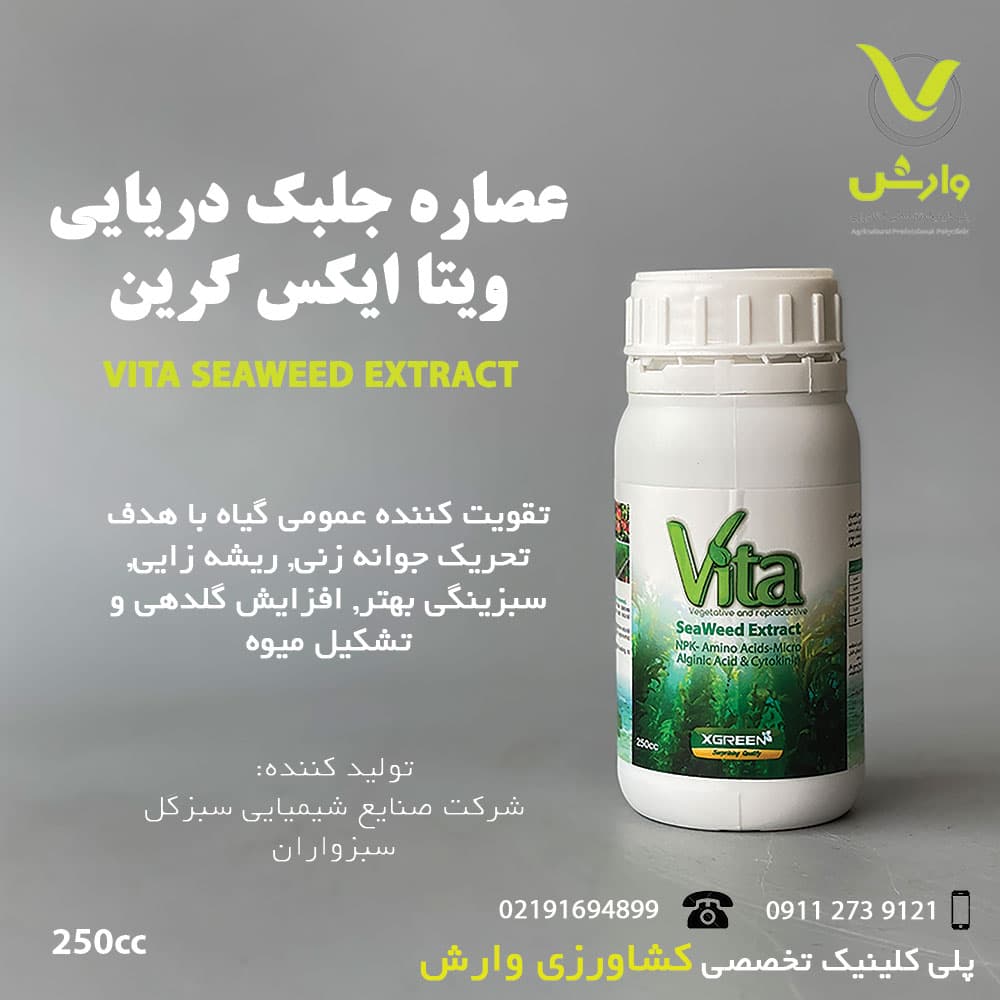 ویتا ایکس گرین 250 سی سی