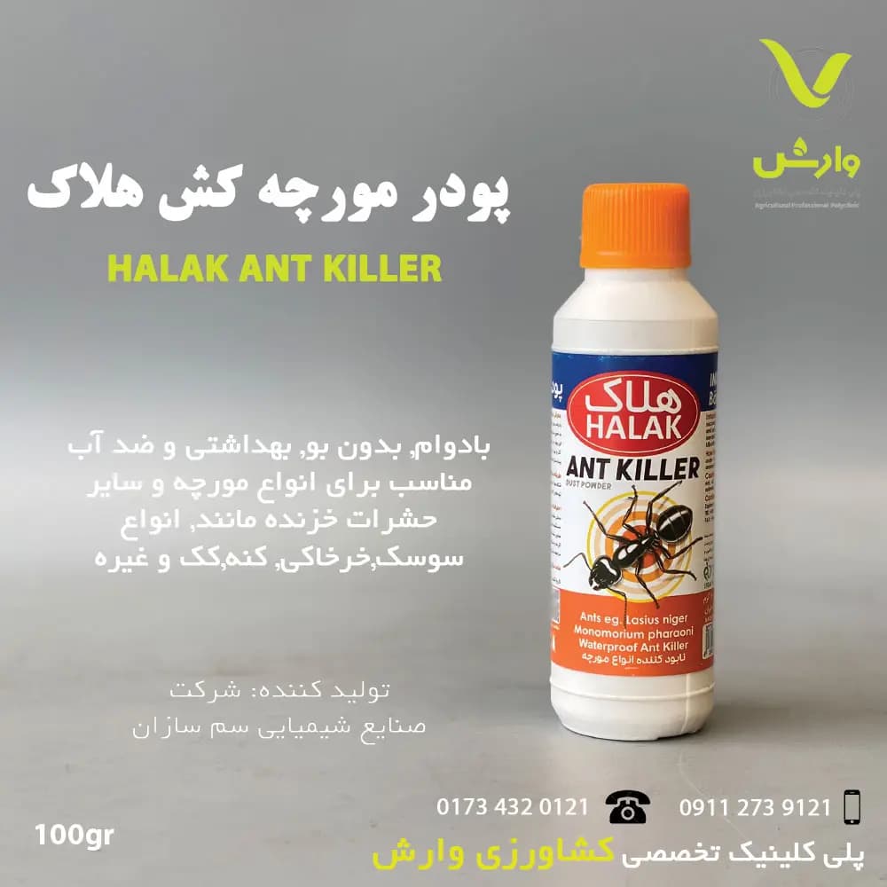پودر مورچه کش هلاک 100 گرمی