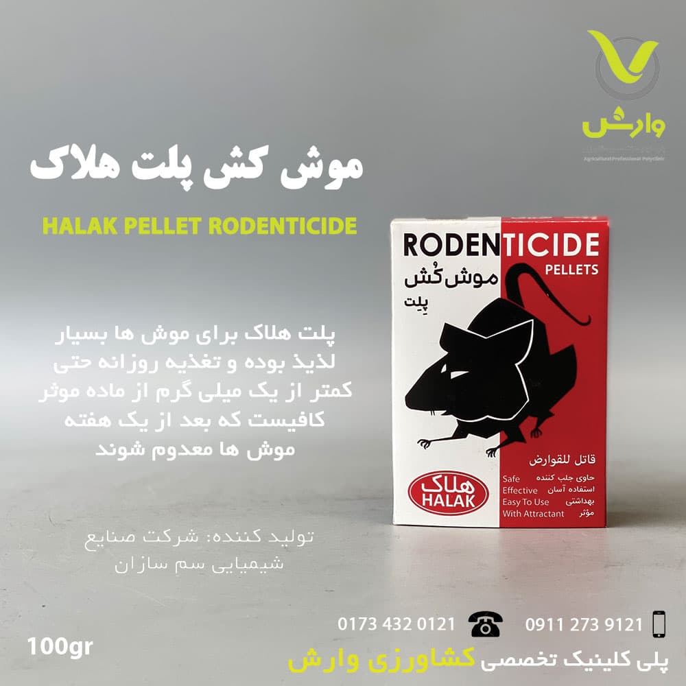 موش کش پلت جعبه ای هلاک 100 گرمی